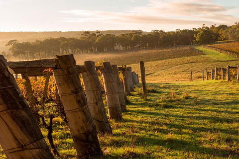 The All About Margaret River Tour: Wine, Coffee, Lunch And Forest - Tourism Noosa 5