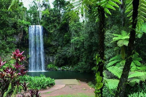 Paronella Park And Millaa Millaa Falls Full-day Tour From Cairns - Tourism Noosa 3