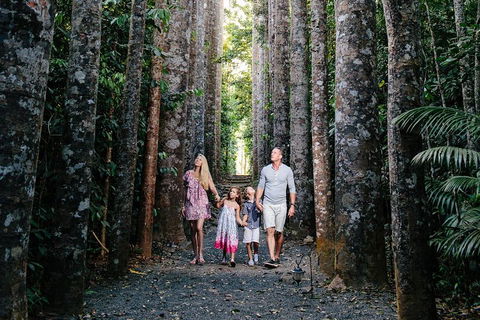 Paronella Park And Millaa Millaa Falls Full-day Tour From Cairns - Tourism Noosa 5