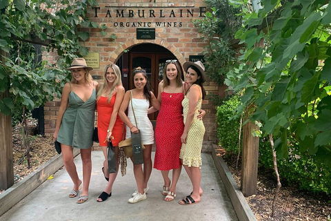 A Full Day Hunter Valley Wine Tasting Tour With Lunch And Tasting Fee's Included - Tourism Noosa 4