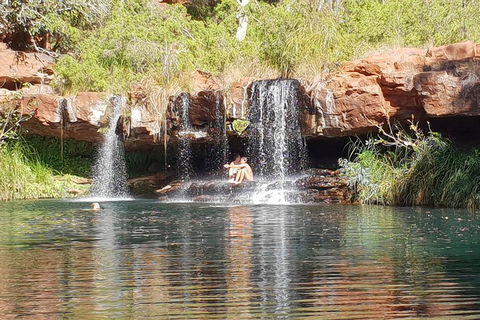9 Day Perth To Broome Adventure - Tourism Noosa 2