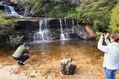 Blue Mountains Small Group Tour Enjoy A Sleep In, Waterfalls, Sunset & Dinner - Tourism Noosa 2