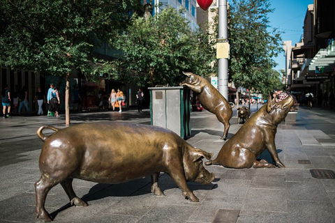 Guided Walking Tour In Adelaide - Tourism Noosa 4