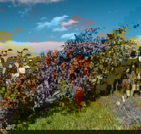 Barossa Valley Private Tour from 2 to 11 people - Tourism Noosa