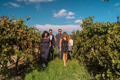 Barossa Valley Private Tour (from 2 To 11 People) - Tourism Noosa 0