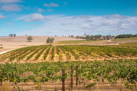 Barossa Valley Private Tour (from 2 To 11 People) - Tourism Noosa 2