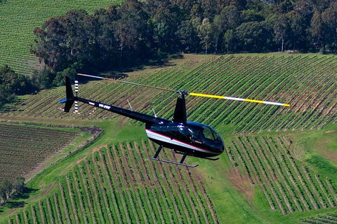 Hunter Valley Wine Country Helicopter Flight From Cessnock - Tourism Noosa 3