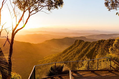 O'Reilly's & Lamington National Park Incl. Alpaca Farm + Vineyard - Tourism Noosa 0