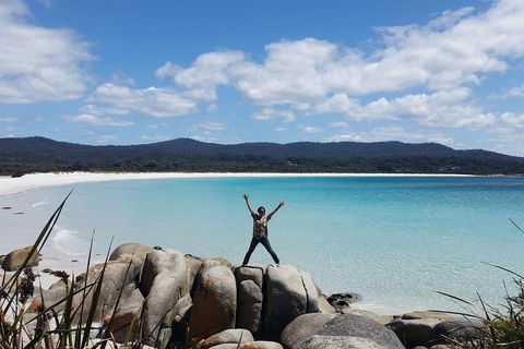 Tasmania 4 Day East Coast + Launceston - Tourism Noosa 1