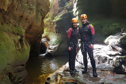 Blue Mountains Empress Canyon Adventure From Wentworth Falls - Tourism Noosa 0