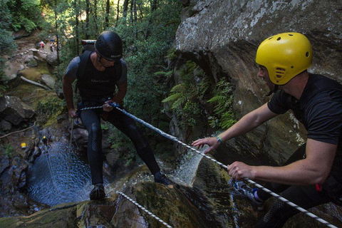 Blue Mountains Empress Canyon Adventure From Wentworth Falls - Tourism Noosa 2