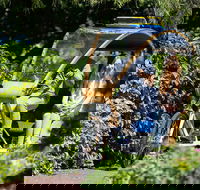 Adelaide 90-Minute Pedicab Tour Scenic Green  River Experience - Tourism Noosa