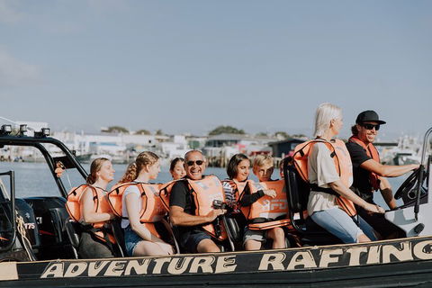 Adventure Whale Watching Tour Mooloolaba - Tourism Noosa 4