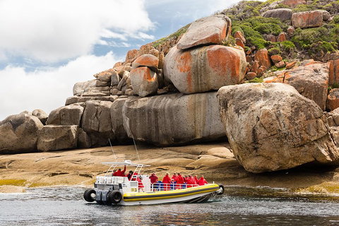 Wilsons Promontory Wilderness Cruise From Tidal River - Tourism Noosa 4