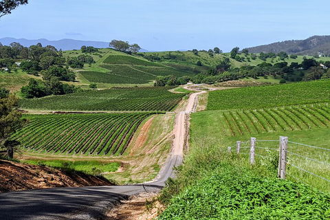 The Complete Hunter Valley Wine Tour Of Pokolbin, Mt View, Lovedale And Rothbury - Tourism Noosa 0