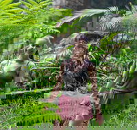 Full-Day Guided Hinterland Adventure Tour in Queensland - Tourism Noosa