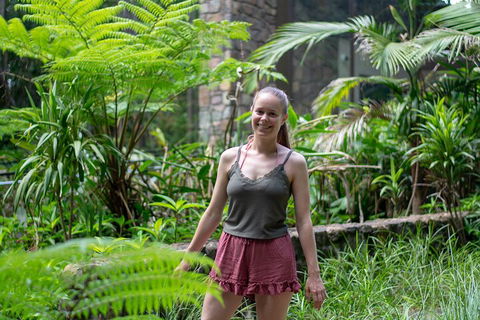 Full-Day Guided Hinterland Adventure Tour In Queensland - Tourism Noosa 0