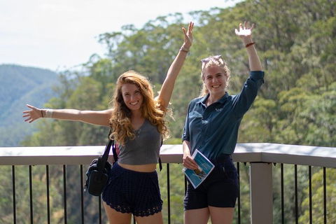 Full-Day Guided Hinterland Adventure Tour In Queensland - Tourism Noosa 3