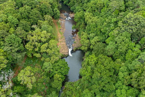 Full-Day Guided Hinterland Adventure Tour In Queensland - Tourism Noosa 4