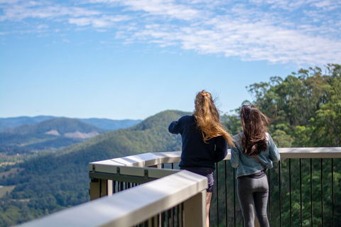 Full-Day Guided Hinterland Adventure Tour In Queensland - Tourism Noosa 5