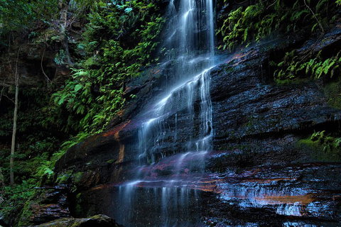 Blue Mountains Off The Beaten Track 4WD Day Adventure - Tourism Noosa 4