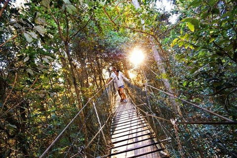 O'Reilly's & Lamington National Park From Brisbane - Tourism Noosa 5