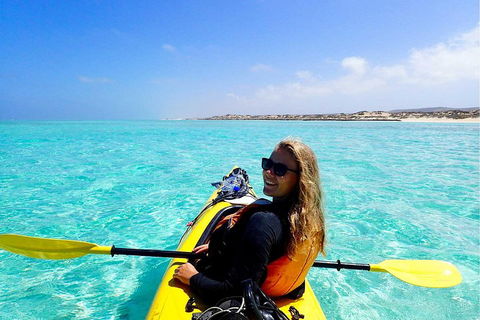 Lagoon Explorer - Ningaloo Reef Full-Day Kayaking And Snorkeling Adventure - Tourism Noosa 1
