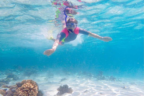 Lagoon Explorer - Ningaloo Reef Full-Day Kayaking And Snorkeling Adventure - Tourism Noosa 5