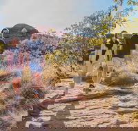 Kings Canyon Day Trip from Ayers Rock Uluru - Tourism Noosa