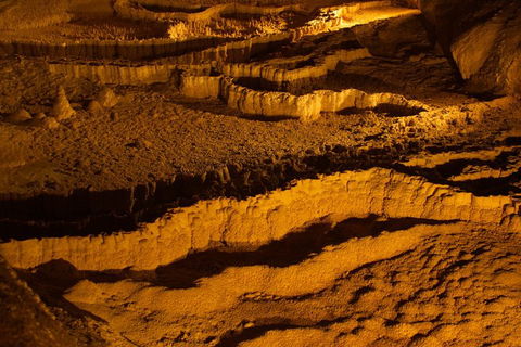 The Explorers' Discovery Tour - Gold, Wine & Wildlife - Tourism Noosa 0