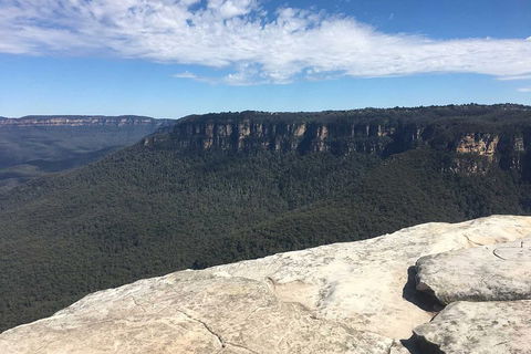 The Explorers' Discovery Tour - Gold, Wine & Wildlife - Tourism Noosa 1