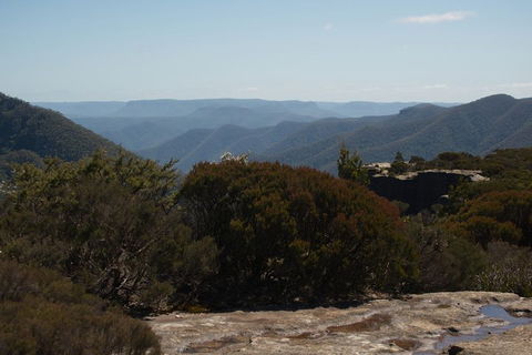 The Explorers' Discovery Tour - Gold, Wine & Wildlife - Tourism Noosa 3