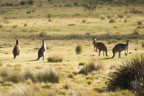 From The Mountains To The Bay - 4 Day Rediscovery Small Group Tour - Tourism Noosa 4