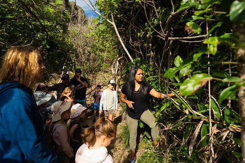 Cape Byron Aboriginal Tour - Tourism Noosa 4