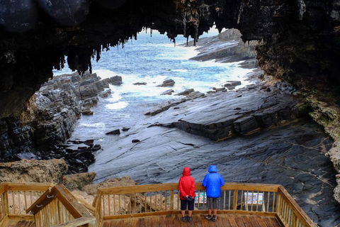 Full-Day Kangaroo Island Safari From Penneshaw - Tourism Noosa 1
