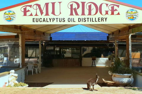 Full-Day Kangaroo Island Safari From Penneshaw - Tourism Noosa 2