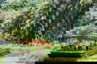 Tropical Fruit World Farm Full Tour, Surfers Paradise