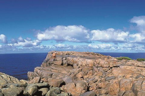4 Day Tour: Albany, Margaret River, Valley Of The Giants TreeTop Walk From Perth - Tourism Noosa 0