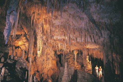 4 Day Tour: Albany, Margaret River, Valley Of The Giants TreeTop Walk From Perth - Tourism Noosa 1