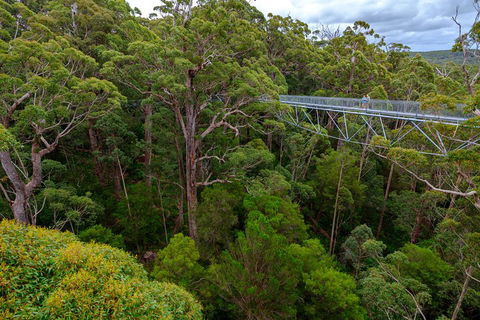 4 Day Tour: Albany, Margaret River, Valley Of The Giants TreeTop Walk From Perth - Tourism Noosa 4