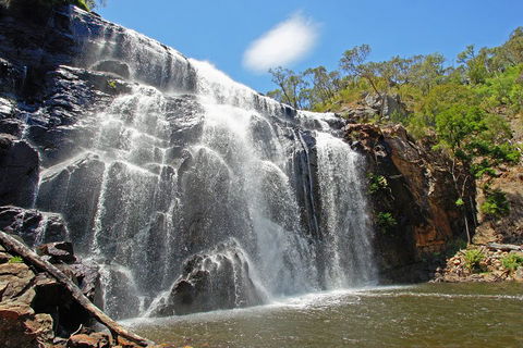 Grampians National Park Small-Group Eco Tour From Melbourne - Tourism Noosa 0