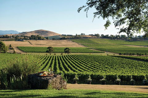 Small Group 6 Guests: Ultimate Yarra Valley Food And Wine - Mercedes Van - Tourism Noosa 4
