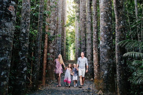 The Original Day Tour To Paronella Park, Lake Barrine And Millaa Millaa Falls - Tourism Noosa 1