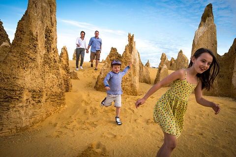 Full-Day Pinnacles Desert And Yanchep National Park Tour From Perth - Tourism Noosa 0