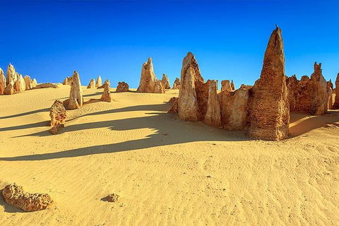 Full-Day Pinnacles Desert And Yanchep National Park Tour From Perth - Tourism Noosa 2