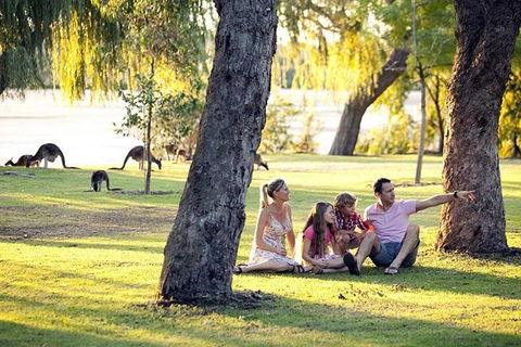 Full-Day Pinnacles Desert And Yanchep National Park Tour From Perth - Tourism Noosa 3