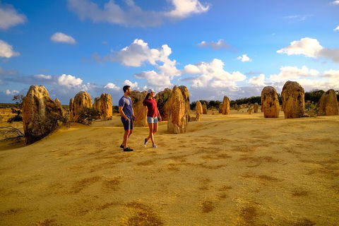 Full-Day Pinnacles Desert And Yanchep National Park Tour From Perth - Tourism Noosa 4