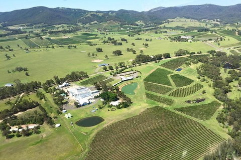 Helicopter Tour Of Hunter Valley In New South Wales With Lunch - Tourism Noosa 4