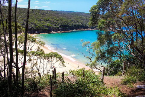 South Coast Private Charter - Tourism Noosa 1