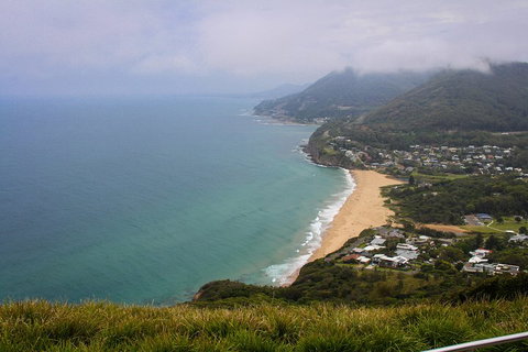 South Coast Private Charter - Tourism Noosa 3